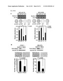 NECTIN-4 FOR TARGET GENES OF CANCER THERAPY AND DIAGNOSIS diagram and image