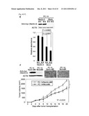 NECTIN-4 FOR TARGET GENES OF CANCER THERAPY AND DIAGNOSIS diagram and image