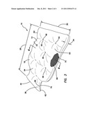 NATURAL HOT WATER BOTTLE SUBSTITUTE diagram and image