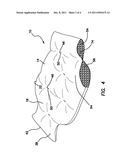 NATURAL HOT WATER BOTTLE SUBSTITUTE diagram and image