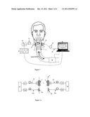 APPARATUS FOR MEASUREMENT OF GAS CONCENTRATIONS IN BREATH diagram and image