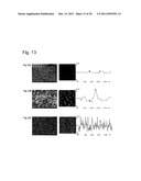 LIGHT-ABSORBING MATERIAL AND PHOTOELECTRIC CONVERSION ELEMENT USING THE     SAME diagram and image