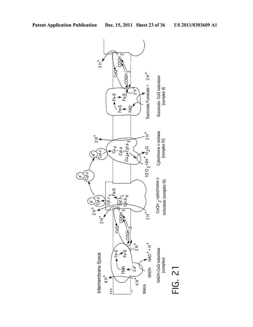 WASTEWATER TREATMENT SYSTEM AND METHOD FOR REMOVAL OF CONTAMINANTS VIA     MIXED METAL OXIDE BEDS - diagram, schematic, and image 24