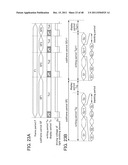 DISPLAY DEVICE AND ELECTRONIC DEVICE diagram and image