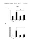 Treating Oral Cancer with Anti-IL-20 Antibody diagram and image