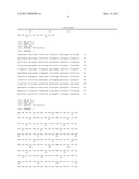 Treating Oral Cancer with Anti-IL-20 Antibody diagram and image