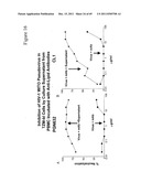 Anti-lipid antibodies diagram and image