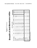 Anti-lipid antibodies diagram and image