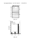 Inhibition of Pro-Inflammatory Cytokine Induced Response diagram and image