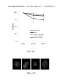 Inhibition of Pro-Inflammatory Cytokine Induced Response diagram and image