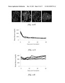 Inhibition of Pro-Inflammatory Cytokine Induced Response diagram and image