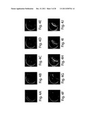 POLYMERSOMES, COLLOIDOSOMES, LIPOSOMES, AND OTHER SPECIES ASSOCIATED WITH     FLUIDIC DROPLETS diagram and image