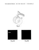 POLYMERSOMES, COLLOIDOSOMES, LIPOSOMES, AND OTHER SPECIES ASSOCIATED WITH     FLUIDIC DROPLETS diagram and image