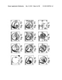 POLYMERSOMES, COLLOIDOSOMES, LIPOSOMES, AND OTHER SPECIES ASSOCIATED WITH     FLUIDIC DROPLETS diagram and image