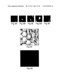 POLYMERSOMES, COLLOIDOSOMES, LIPOSOMES, AND OTHER SPECIES ASSOCIATED WITH     FLUIDIC DROPLETS diagram and image