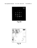 POLYMERSOMES, COLLOIDOSOMES, LIPOSOMES, AND OTHER SPECIES ASSOCIATED WITH     FLUIDIC DROPLETS diagram and image