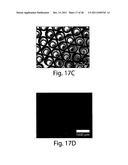 POLYMERSOMES, COLLOIDOSOMES, LIPOSOMES, AND OTHER SPECIES ASSOCIATED WITH     FLUIDIC DROPLETS diagram and image