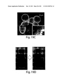 POLYMERSOMES, COLLOIDOSOMES, LIPOSOMES, AND OTHER SPECIES ASSOCIATED WITH     FLUIDIC DROPLETS diagram and image