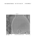 COMPOSITE POLYMER MODIFIERS diagram and image