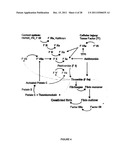 Methods and Compositions for Detection of a Pathogen, Disease, Medical     Condition, or Biomarker Thereof diagram and image