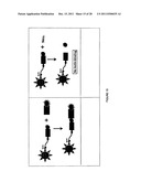 Methods and Compositions for Detection of a Pathogen, Disease, Medical     Condition, or Biomarker Thereof diagram and image