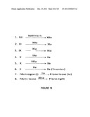 Methods and Compositions for Detection of a Pathogen, Disease, Medical     Condition, or Biomarker Thereof diagram and image