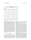 ASSAY FOR DETECTION OF HUMAN PARVOVIRUS NUCLEIC ACID diagram and image