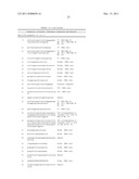 ASSAY FOR DETECTION OF HUMAN PARVOVIRUS NUCLEIC ACID diagram and image