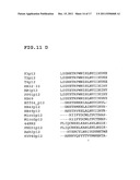 Method For Detecting And Removing Endotoxin diagram and image