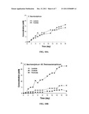 THERMOPHILIC METHANOGENIC CONSORTIUM FOR CONVERSION OF CELLULOSIC BIOMASS     TO BIOENERGY diagram and image