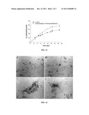 THERMOPHILIC METHANOGENIC CONSORTIUM FOR CONVERSION OF CELLULOSIC BIOMASS     TO BIOENERGY diagram and image