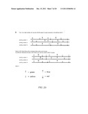 POLYNUCLEOTIDE MAPPING AND SEQUENCING diagram and image