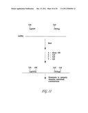 POLYNUCLEOTIDE MAPPING AND SEQUENCING diagram and image