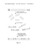 POLYNUCLEOTIDE MAPPING AND SEQUENCING diagram and image