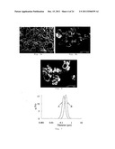 PROCESS FOR MAKING PARTICLES FOR DELIVERY OF DRUG NANOPARTICLES diagram and image