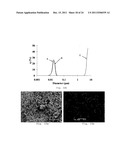 PROCESS FOR MAKING PARTICLES FOR DELIVERY OF DRUG NANOPARTICLES diagram and image