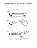 STABILIZATION METHOD OF FUNCTIONAL NUCLEIC ACID diagram and image