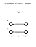 STABILIZATION METHOD OF FUNCTIONAL NUCLEIC ACID diagram and image