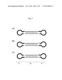 STABILIZATION METHOD OF FUNCTIONAL NUCLEIC ACID diagram and image