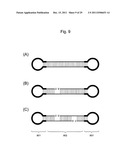 STABILIZATION METHOD OF FUNCTIONAL NUCLEIC ACID diagram and image