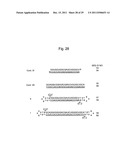 STABILIZATION METHOD OF FUNCTIONAL NUCLEIC ACID diagram and image