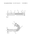 ENDOSCOPE WITH A BENDING PORTION diagram and image