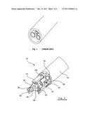 FOLDING ENDOSCOPE AND METHOD OF USING THE SAME diagram and image