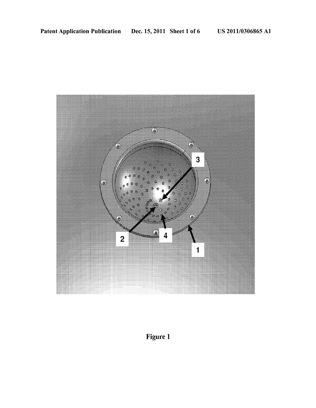  PHOTOACOUSTIC IMAGING DEVICE - diagram, schematic, and image 02