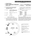 IN VIVO AND EX VIVO GENE TRANSFER INTO RENAL TISSUE USING GUTLESS     ADENOVIRUS VECTORS diagram and image