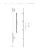 IN VIVO AND EX VIVO GENE TRANSFER INTO RENAL TISSUE USING GUTLESS     ADENOVIRUS VECTORS diagram and image