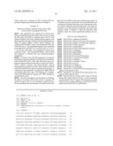 IN VIVO AND EX VIVO GENE TRANSFER INTO RENAL TISSUE USING GUTLESS     ADENOVIRUS VECTORS diagram and image