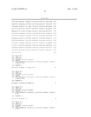 IN VIVO AND EX VIVO GENE TRANSFER INTO RENAL TISSUE USING GUTLESS     ADENOVIRUS VECTORS diagram and image