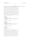 IN VIVO AND EX VIVO GENE TRANSFER INTO RENAL TISSUE USING GUTLESS     ADENOVIRUS VECTORS diagram and image