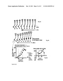 HYDRAULIC PROSTHETIC JOINT diagram and image